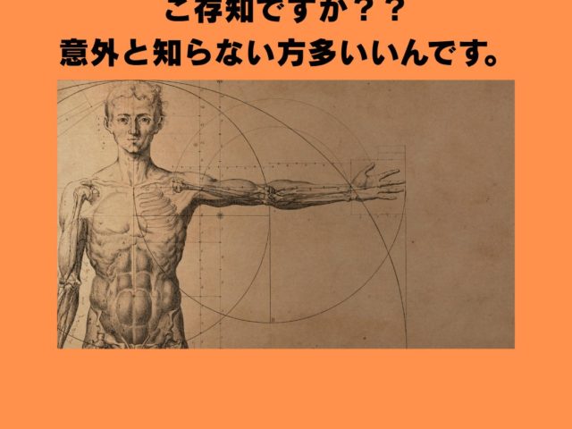 肩こりのメカニズムを完全解説！！なぜ現代人の８割が悩むのか